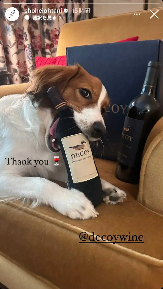 【画像・写真】ドジャース・大谷　送金被害当初の3倍以上24億円超だった　水原一平容疑者銀行詐欺で訴追