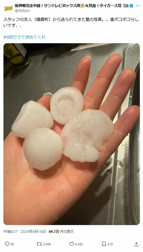 【画像・写真】伝統の一戦は10回雨天コールド…巨大なひょうも確認「阪神園芸さんでも無理」「試合どころじゃない」の声