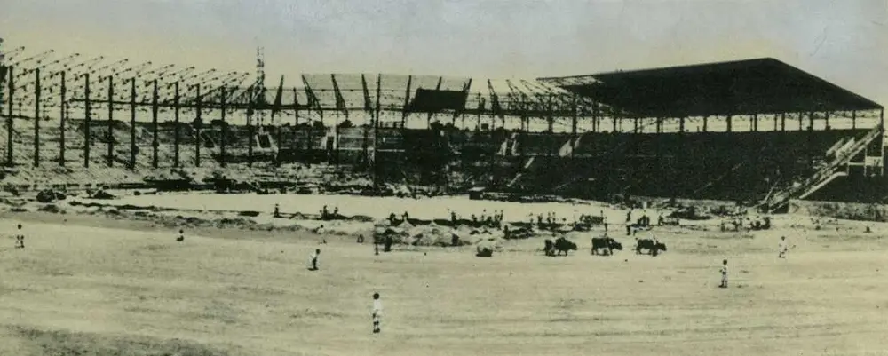 建設中の甲子園球場（1924年6月ごろ）。牛がローラーを引いている＝提供・阪神電気鉄道＝