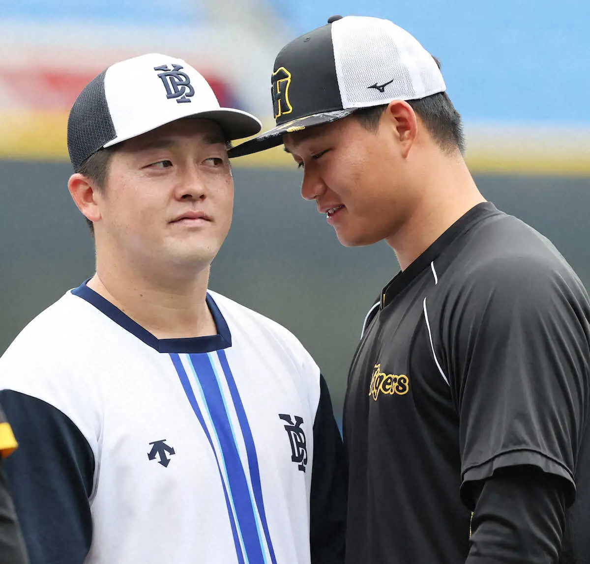 【画像・写真】DeNA・牧　大学の後輩、阪神・森下から“先制攻撃”食らう　帽子のつばでツンツン＆ラリアット？も笑顔