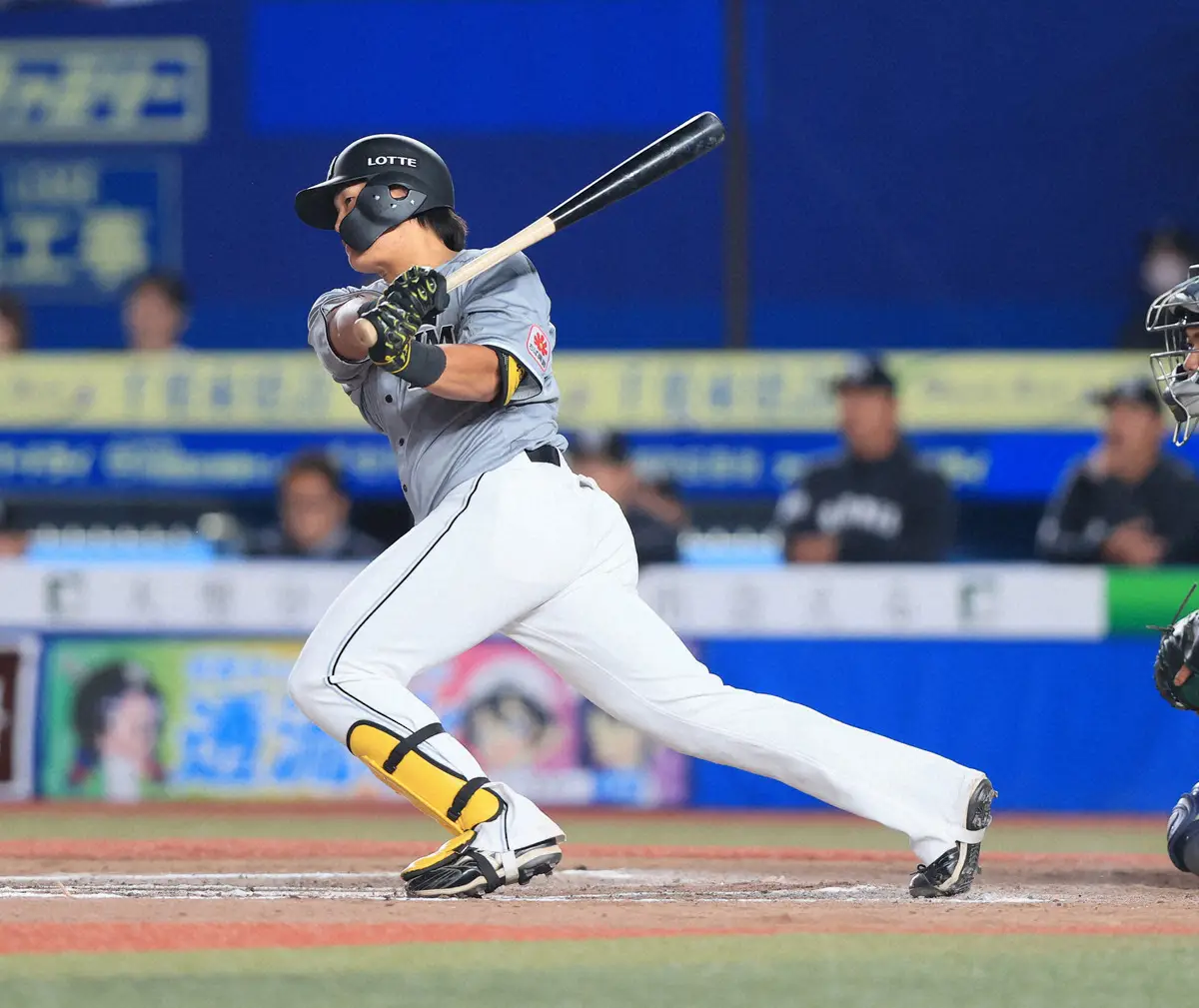 【画像・写真】【ファーム情報】ロッテ・山本がリーグトップタイの6号　ヤクルト・田口が1セーブ目　中日・根尾は2勝目