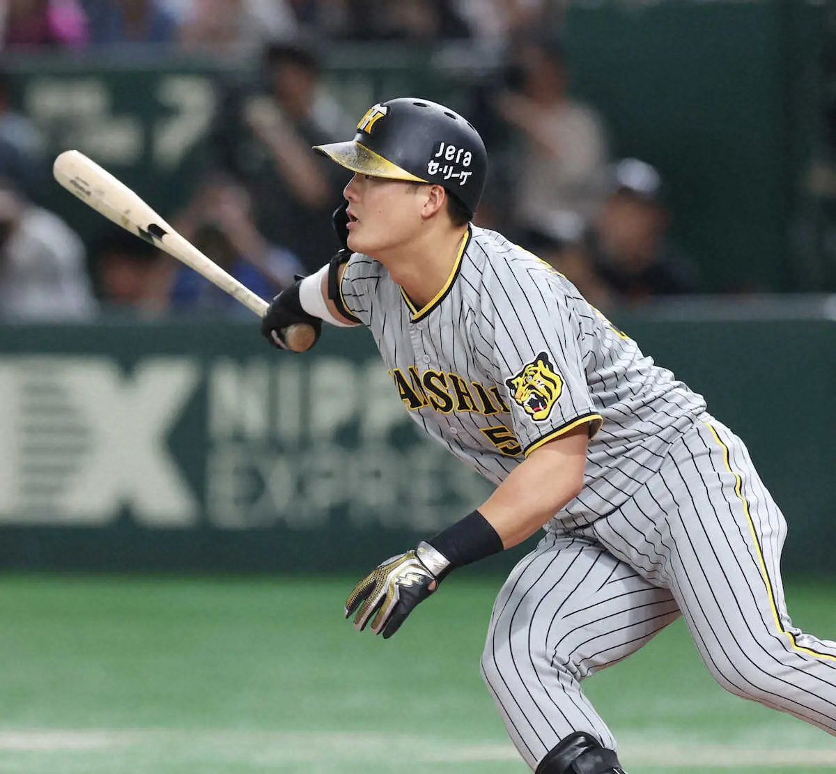 【画像・写真】5日巨人戦で適時打放った阪神・前川　大切にする今岡打撃コーチから授かった言葉とは