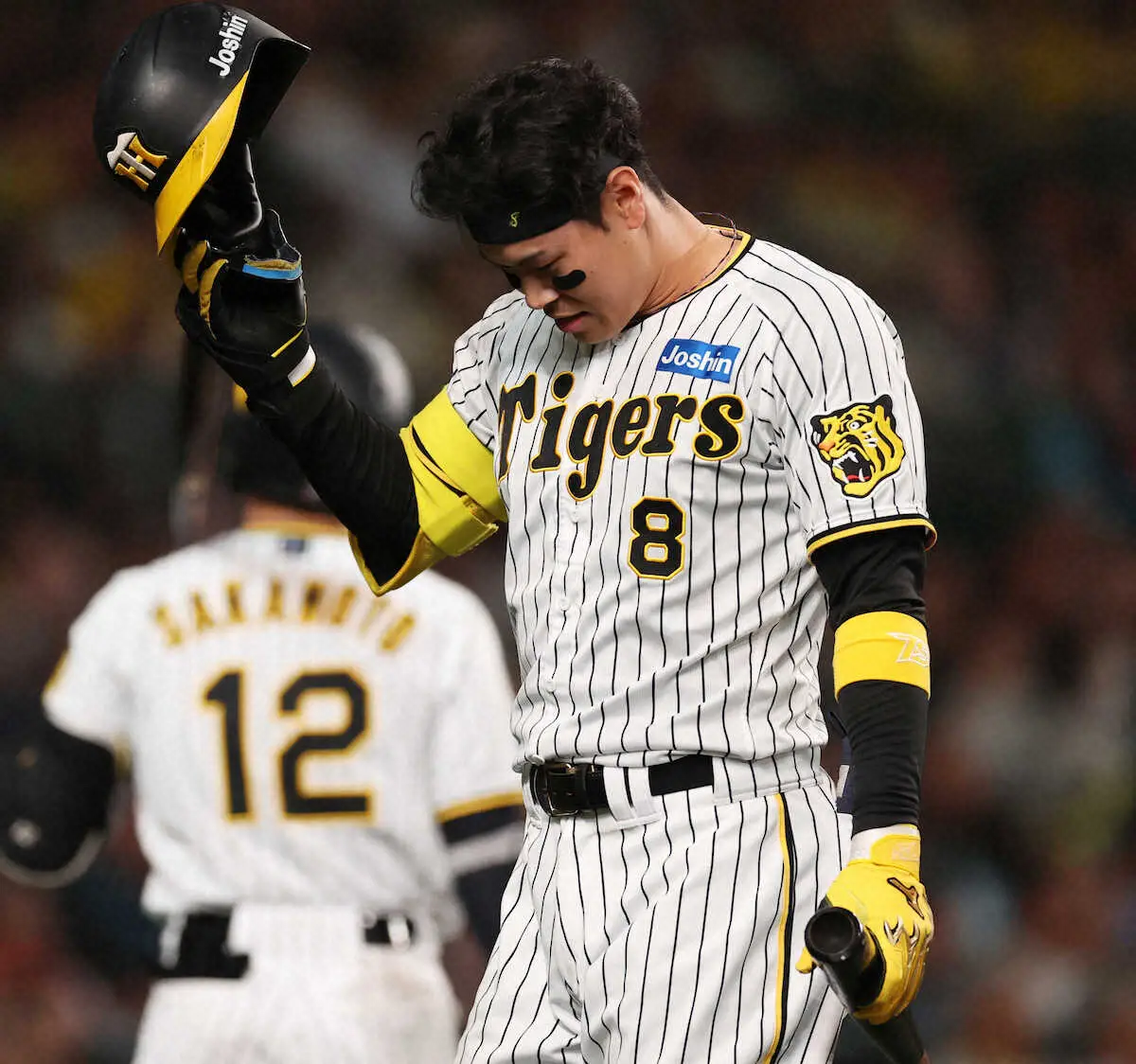 【画像・写真】首位阪神は広島に零封負け　今季最多4万2606人が詰めかけた聖地からため息