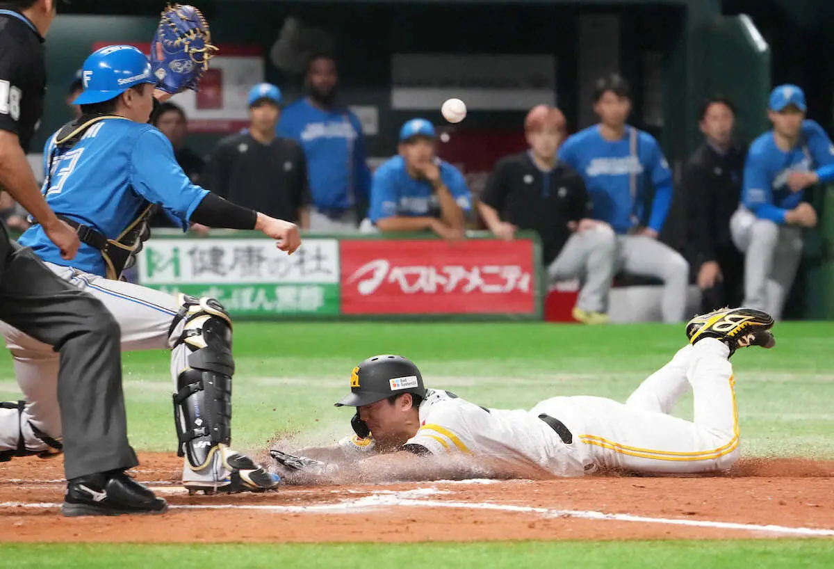 【画像・写真】＜ソ・日＞12回、周東の犠飛で生還する三走・緒方（撮影・岡田　丈靖）