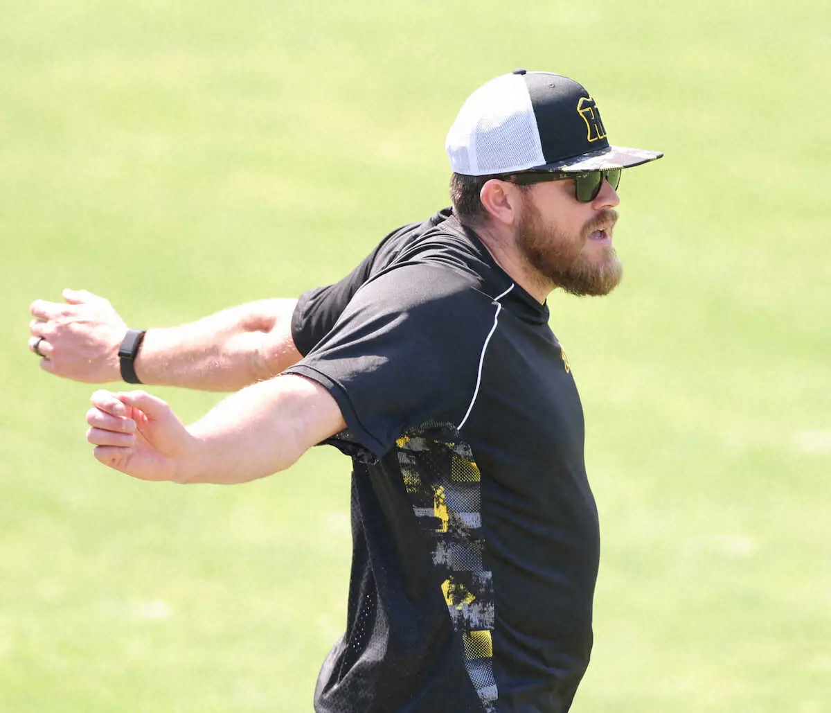 【画像・写真】阪神・ビーズリーとミエセスが1軍登録　青柳と島本が登録外れる