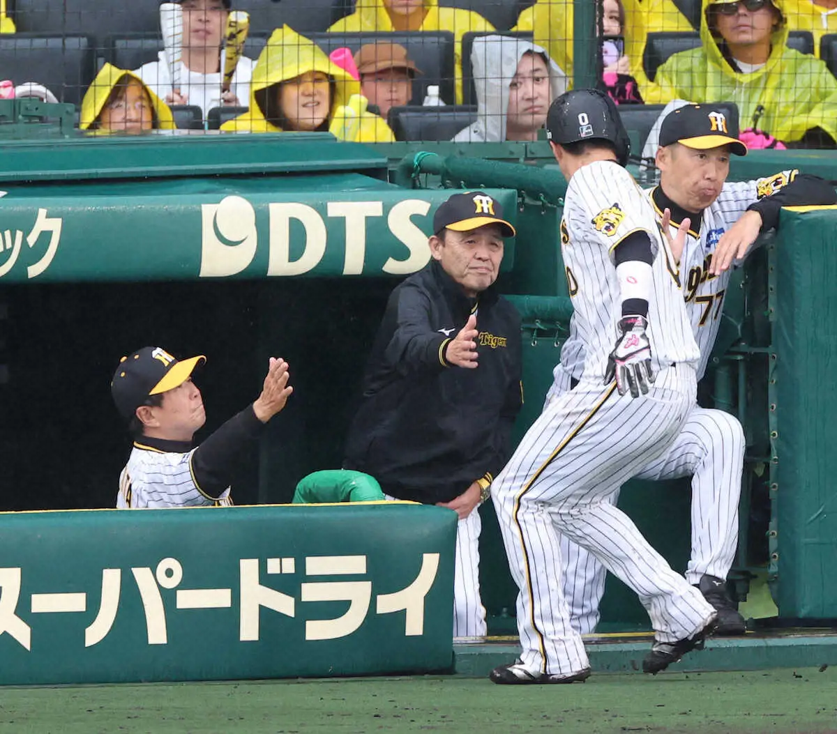 【画像・写真】【阪神・岡田語録テレビ編】阪神通算500勝「初めて聞きました」　「木浪は吹っ切れたんじゃないですか」