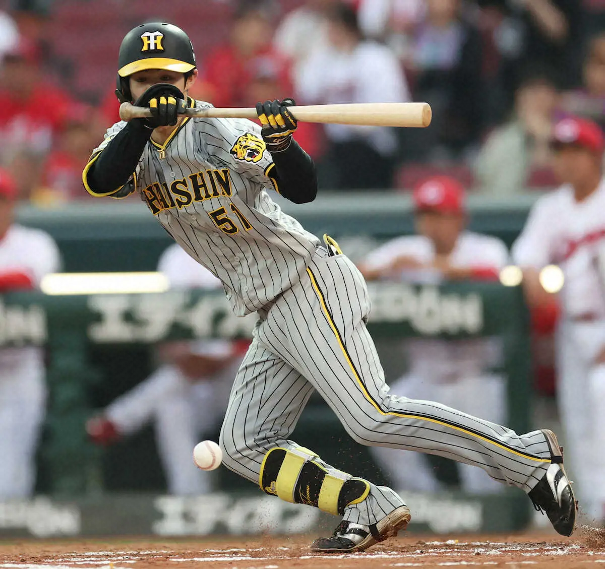 【画像・写真】阪神・近本&中野「アレ野球」をけん引　1、2番が出塁して中軸が還す“勝ちパターン”で接戦制した