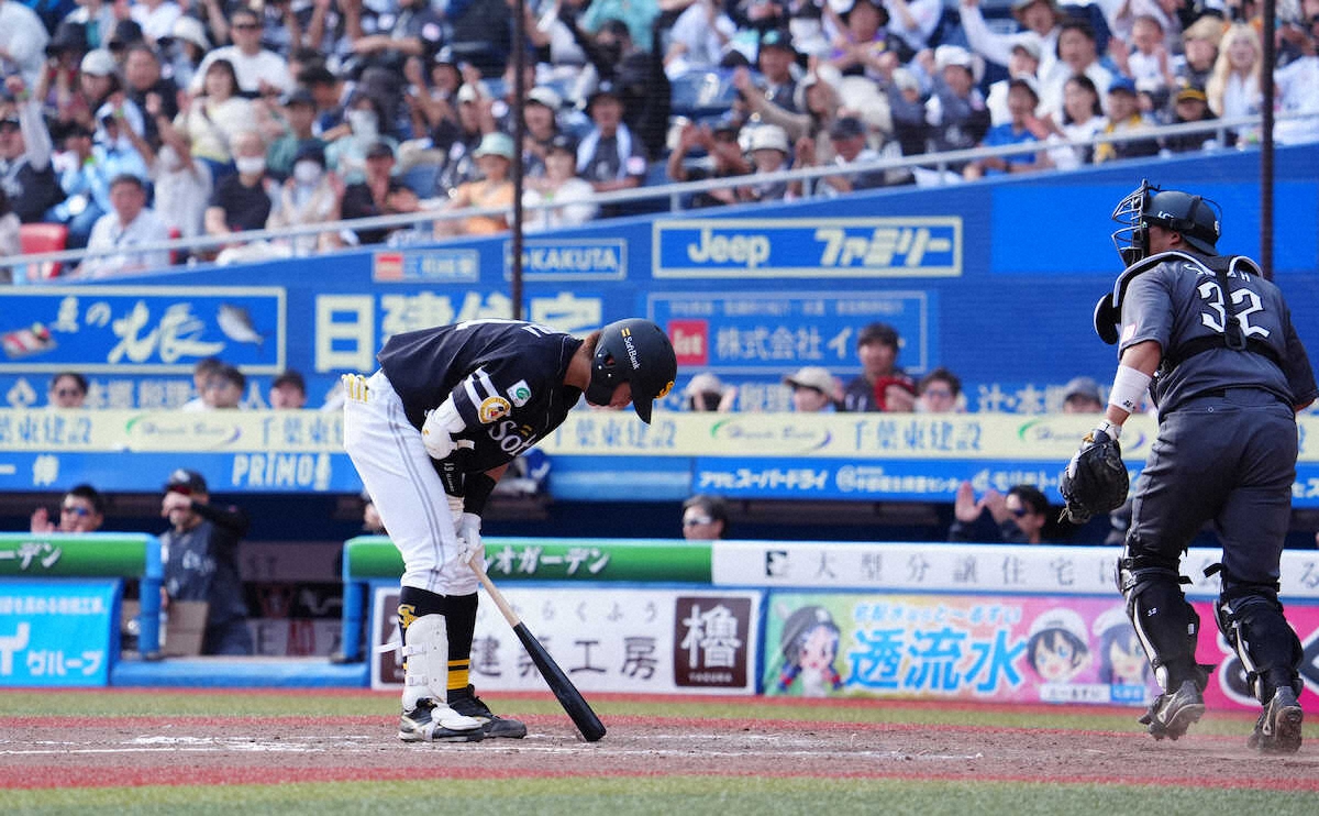 交流戦 ソフトバンク対阪神 S席2枚連番 前列 からし