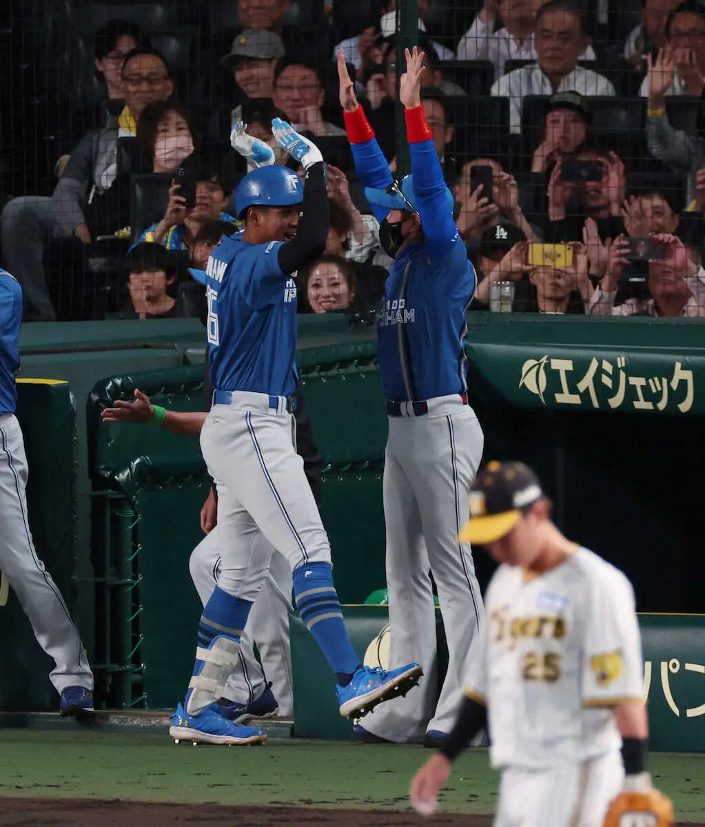 【画像・写真】日本ハム・新庄監督　古巣撃破で甲子園“1勝”刻んだ！　仰天パフォでも4万人観衆を魅了