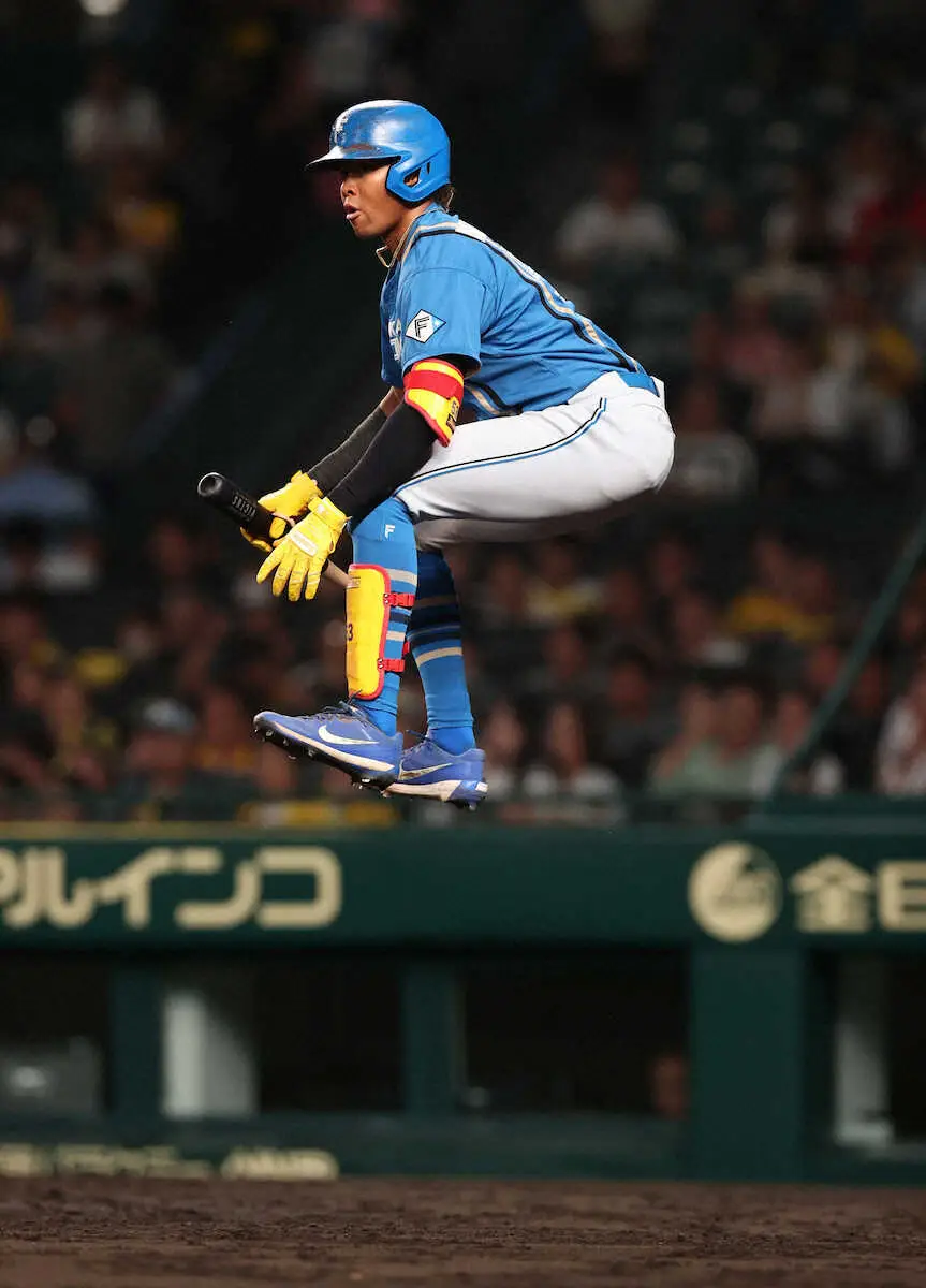 【画像・写真】日本ハム水谷瞬　.438で交流戦歴代最高打率確定！3の1で代走交代　秋山翔吾の.432超え新記録樹立
