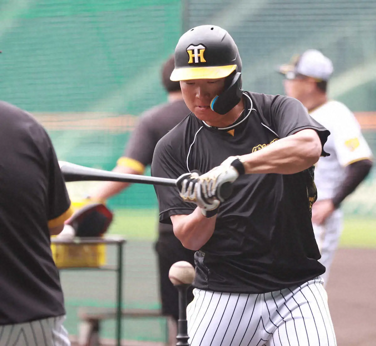 【画像・写真】阪神1軍合流の大山が甲子園で柵越え4発「明日から前を向いて…」
