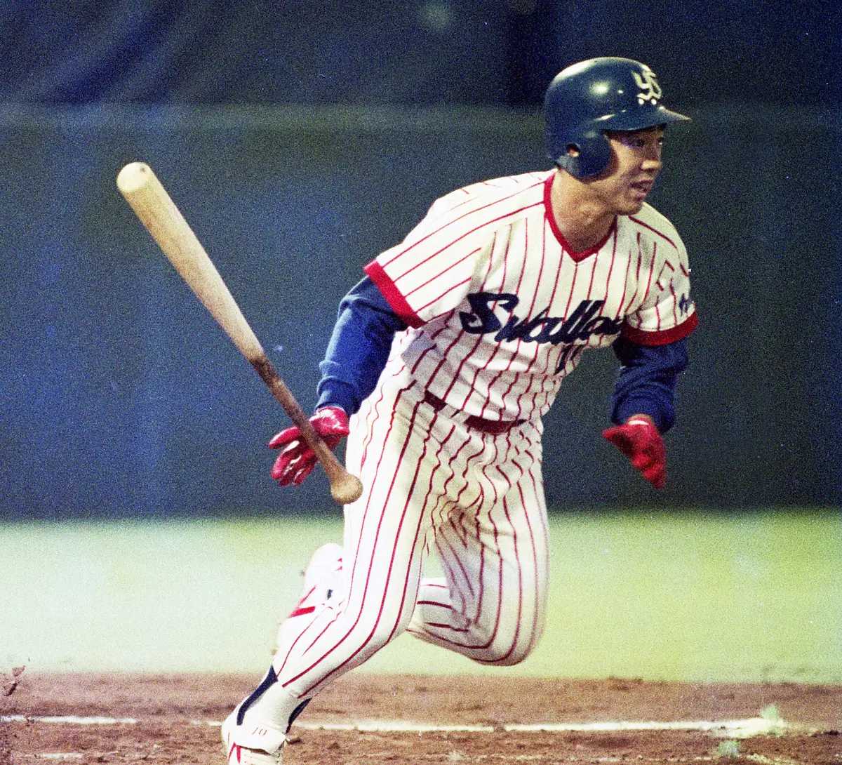 【画像・写真】ヤクルト・荒井幸雄外野手