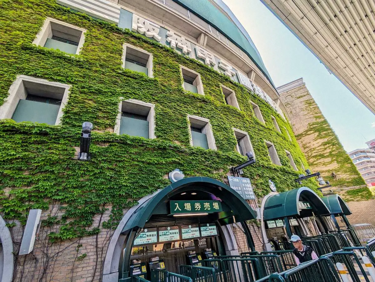 【画像・写真】【100歳　甲子園球場物語】コンクリートむき出しの外壁覆ったツタ　やがてシンボルに