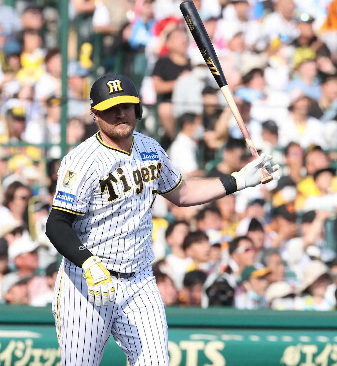 【画像・写真】阪神・ノイジーが今季2度目の抹消　14日昇格も打率.133で再調整「自分のやれることをやっていく」