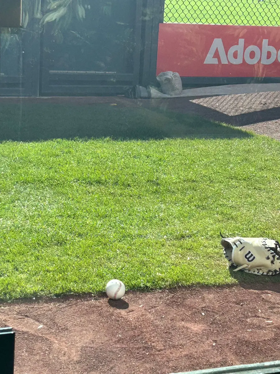 【画像・写真】大谷翔平の26号本塁打球の行方　誰の手にも渡ることなくガラス越しに無造作に転がる理由とは