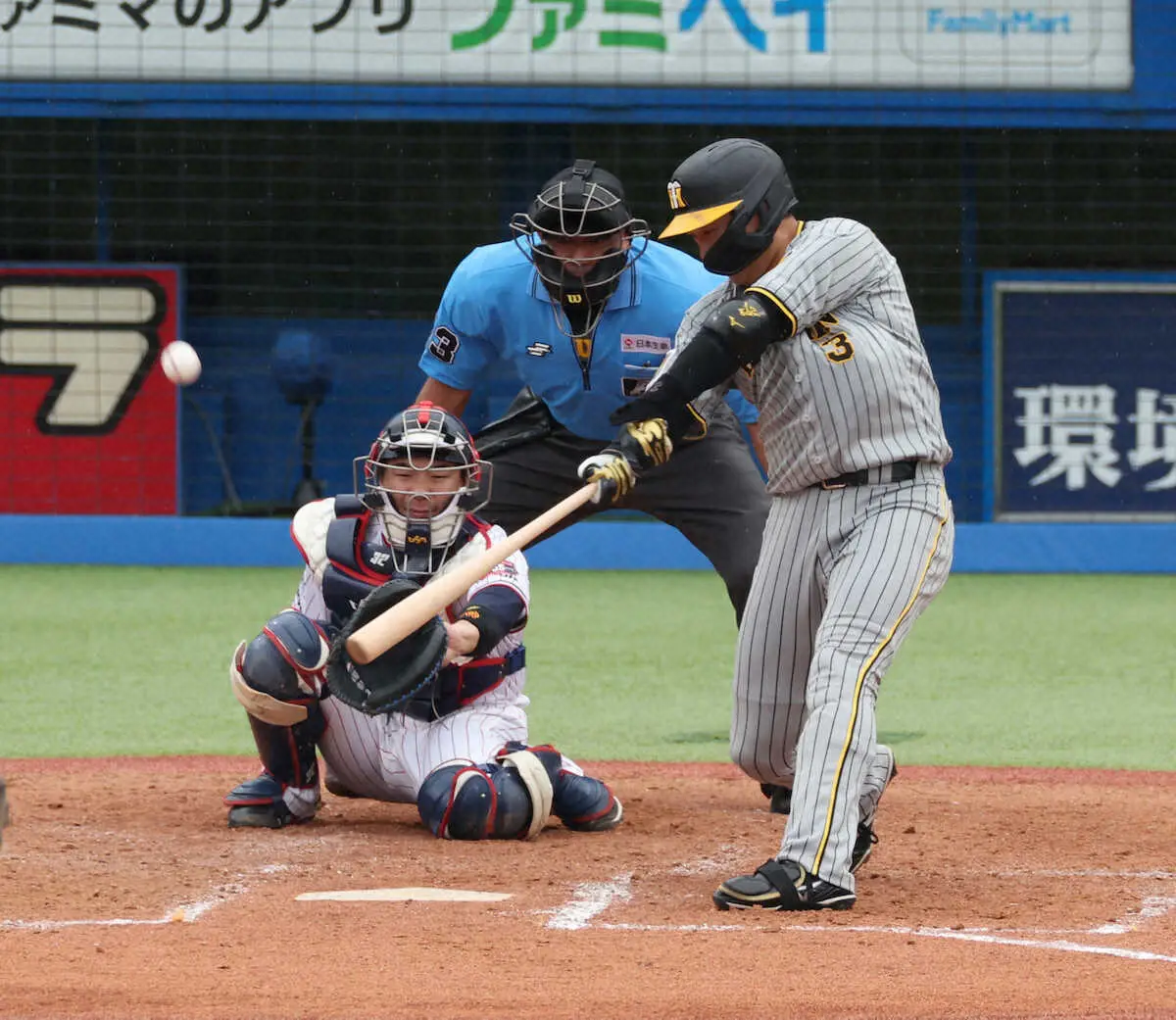 【画像・写真】阪神・大山が自身も驚く5号“びっくり”弾　ホームから中堅方向への強いフォローの風が後押し