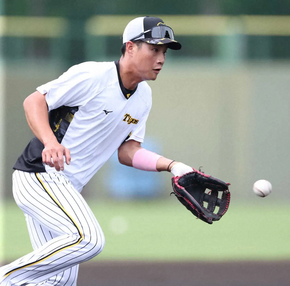 【画像・写真】阪神2軍戦の試合前練習に木浪、森下が参加、早期1軍復帰にらむ