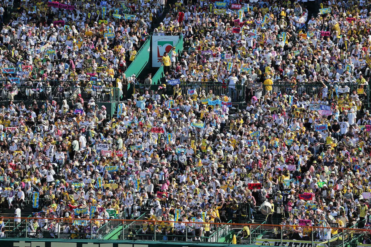 【画像・写真】TORACO記者・杉原　甲子園でのビール販売の裏側を追う　努力と工夫の末に至福の一杯