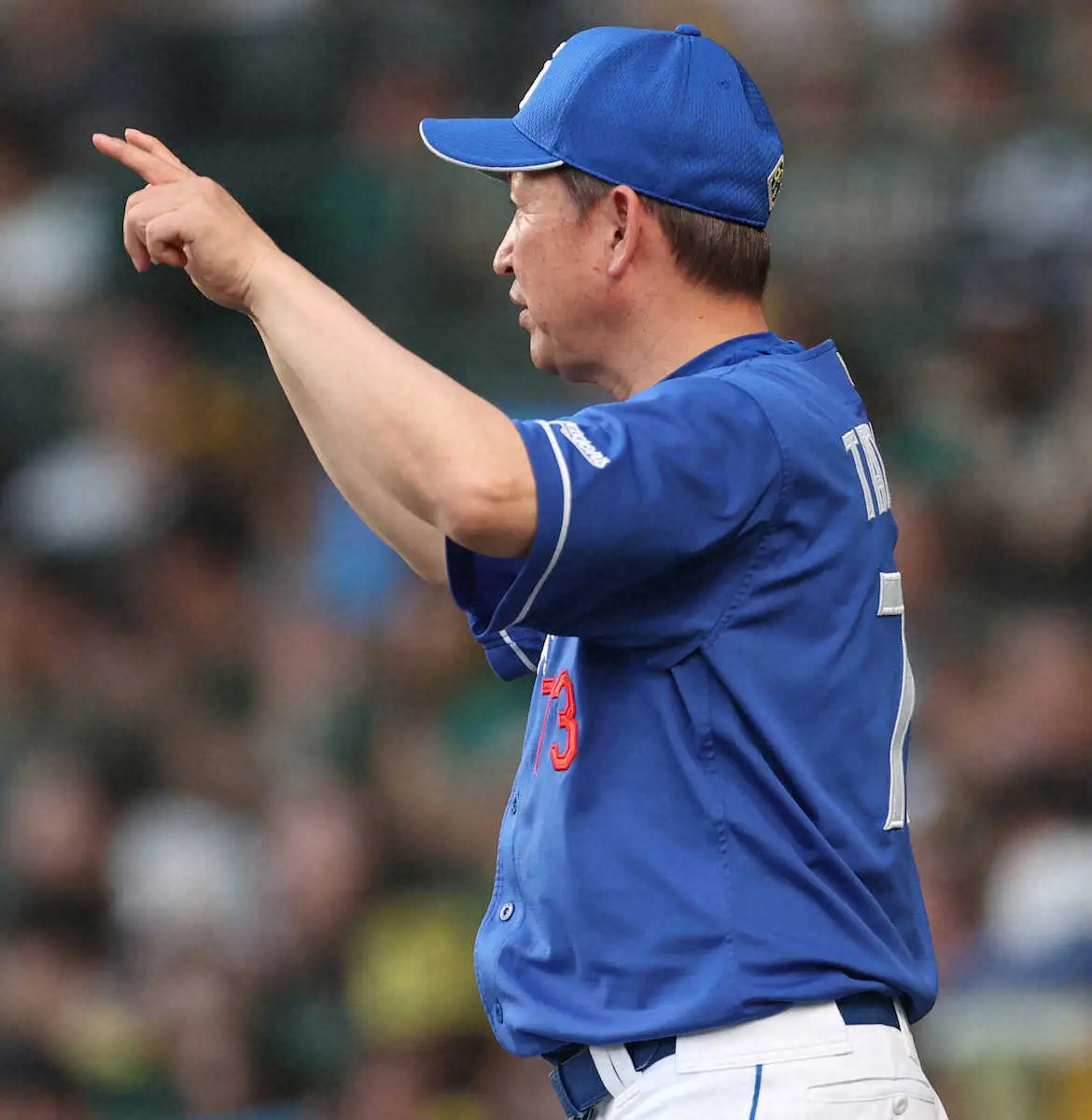 【画像・写真】中日・立浪監督誤算　阪神戦でまさかの「リクエスト却下」　要求認められず…みすみす借金10