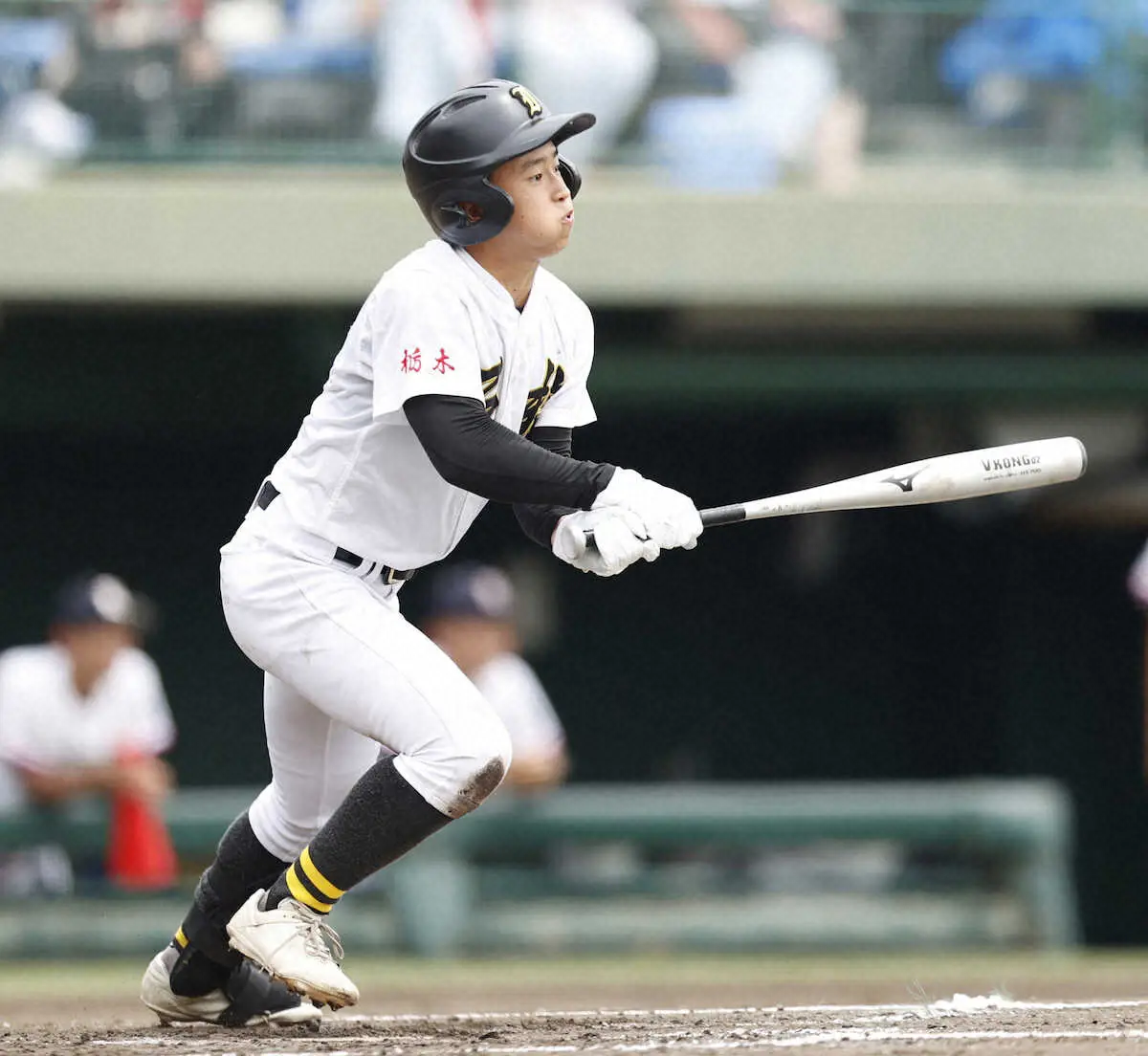 【画像・写真】【高校野球】石橋　8番・伊沢が3安打3打点の活躍　文武両道を志して石橋へ　将来の夢は薬剤師