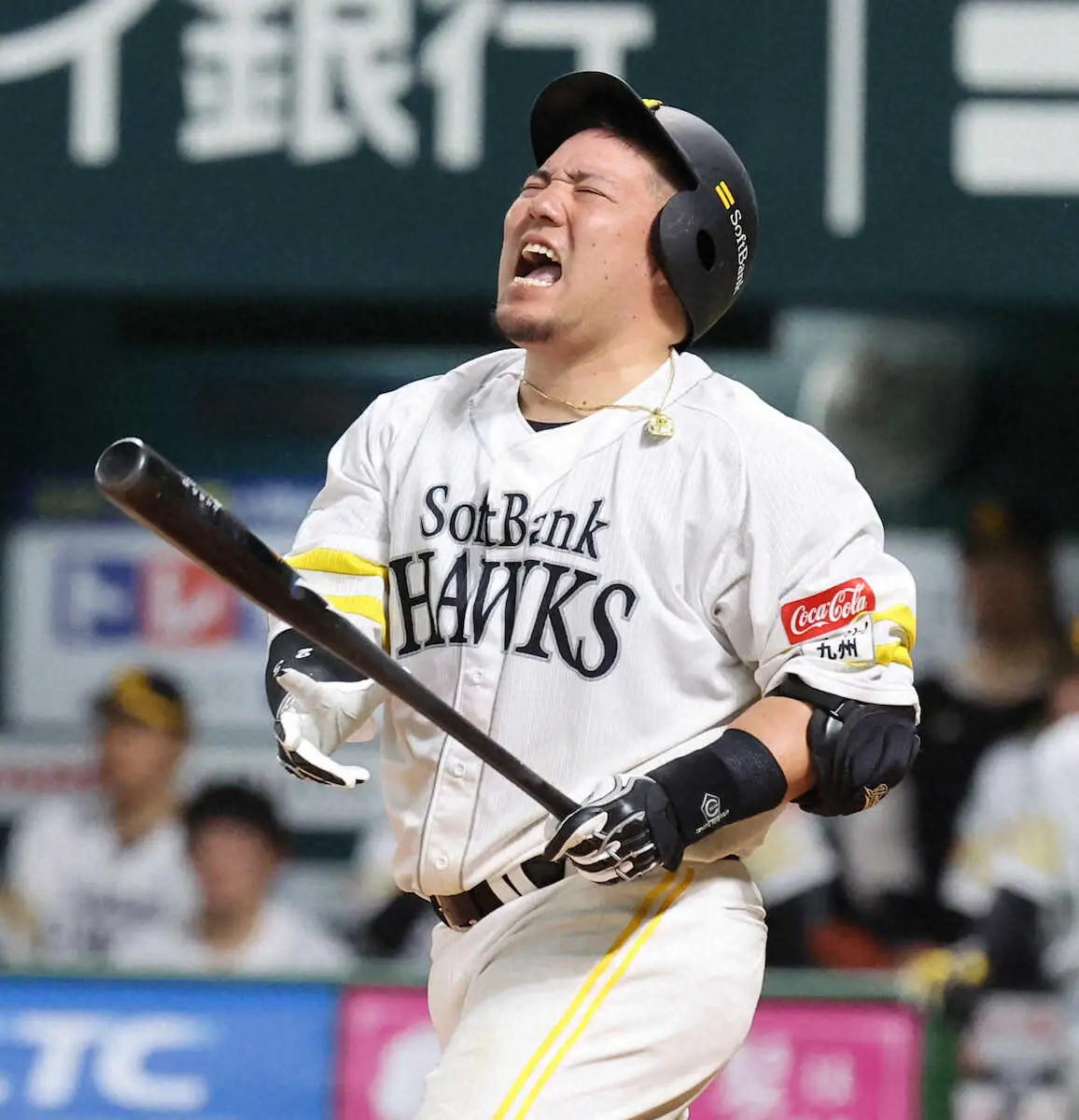 【画像・写真】岸川勝也氏　ソフトバンク・山川のホームランはさすが　しかし改善の余地はまだまだある