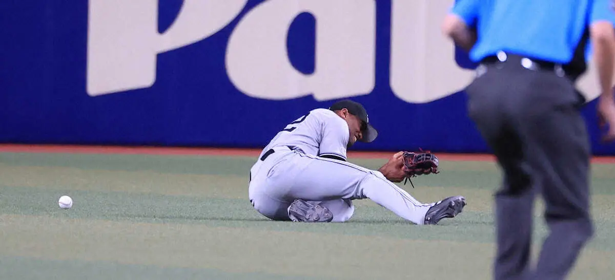 【画像・写真】巨人・ヘルナンデス　左手骨折！5回守備で負傷…今季絶望も