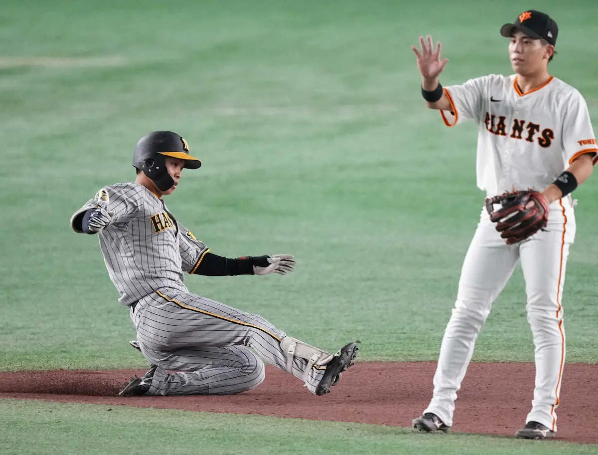 【画像・写真】阪神・島田が代打で今季初長打　8回2死から右二塁打で好機演出「執念で打った」