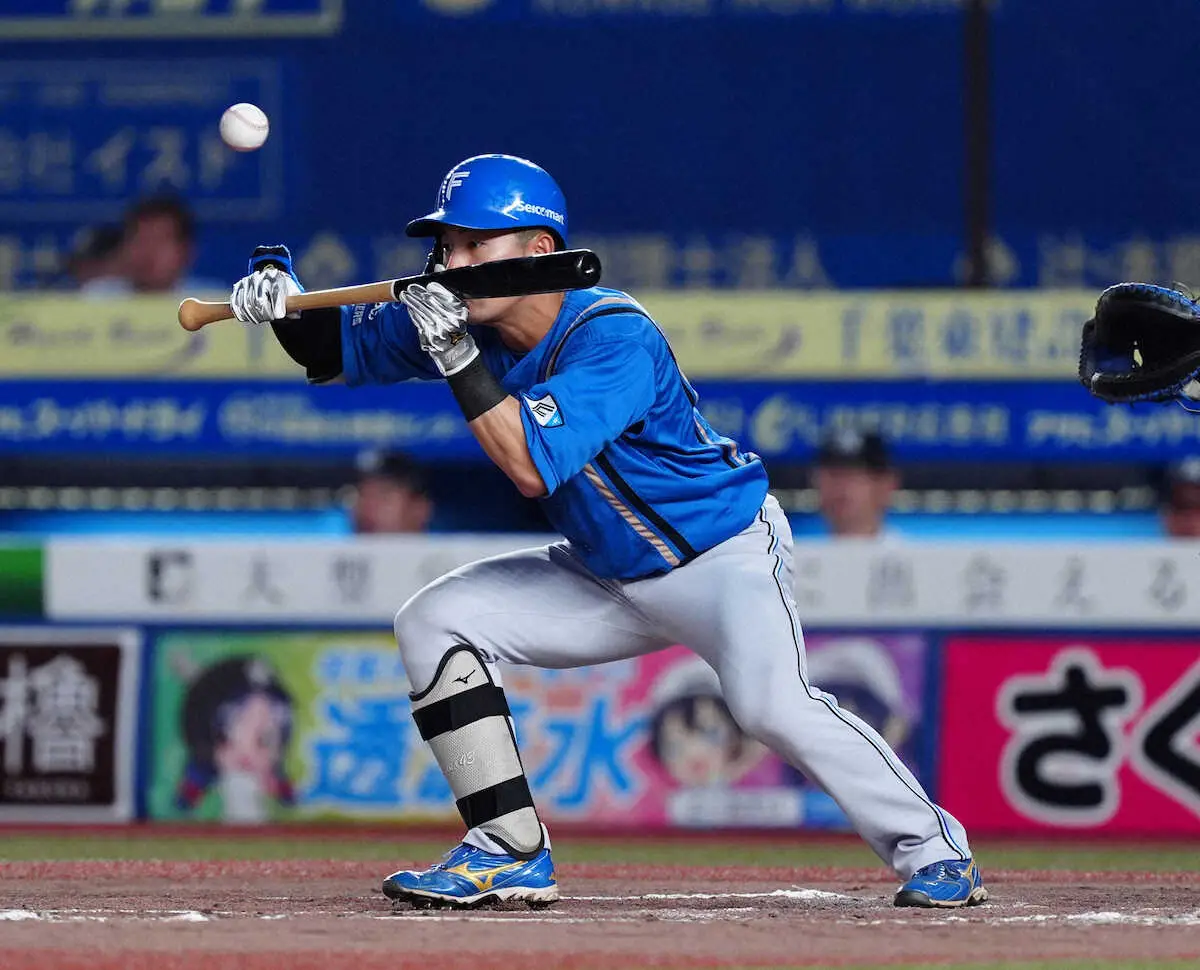 【画像・写真】新庄流甲子園戦法さく裂！日本ハム　今季最多4犠打で連勝「やらんやろうという時にやる」
