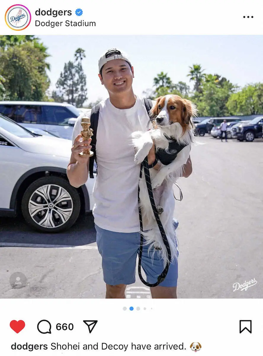 【画像・写真】ドッグトレーナー大谷翔平　多忙でもデコピン預けない“三刀流”