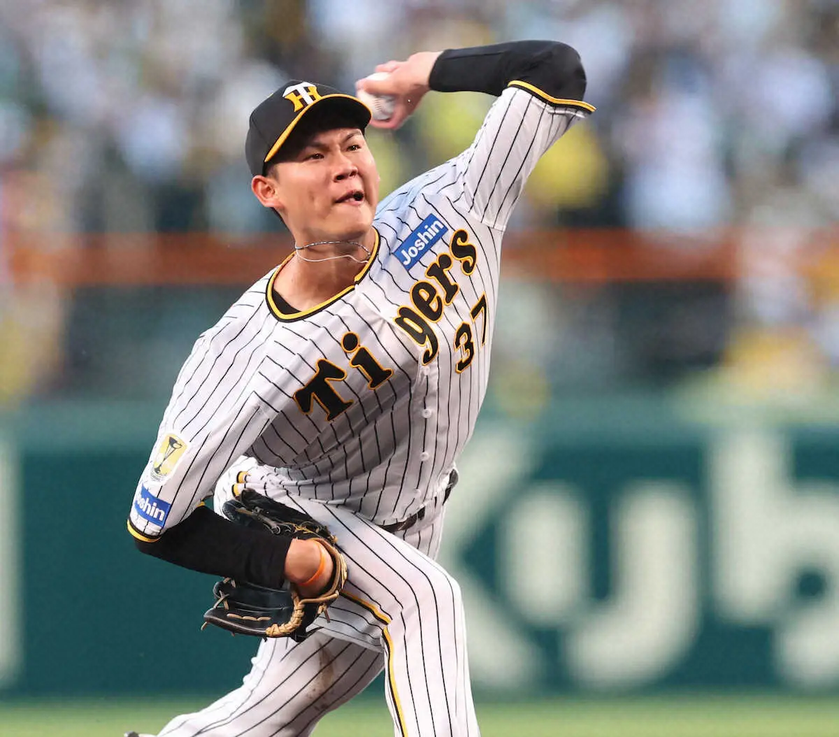 【画像・写真】【31日の公示】阪神が及川雅貴を登録　日本ハムはバーヘイゲンを登録