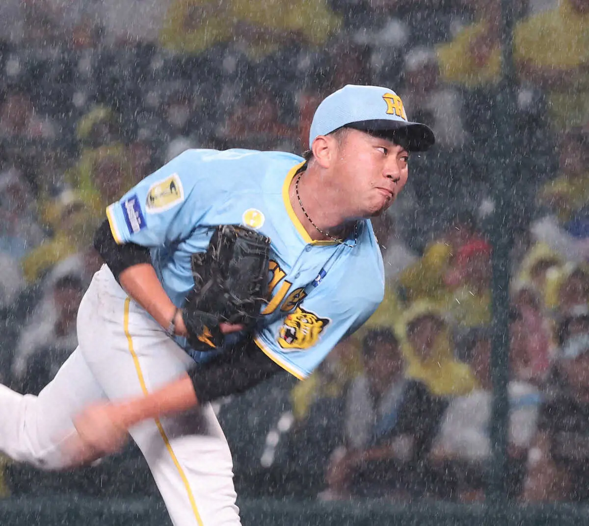 【画像・写真】阪神・桐敷　登板中にカメラのフラッシュで試合が中断するアクシデント「何のことか分からなかった」