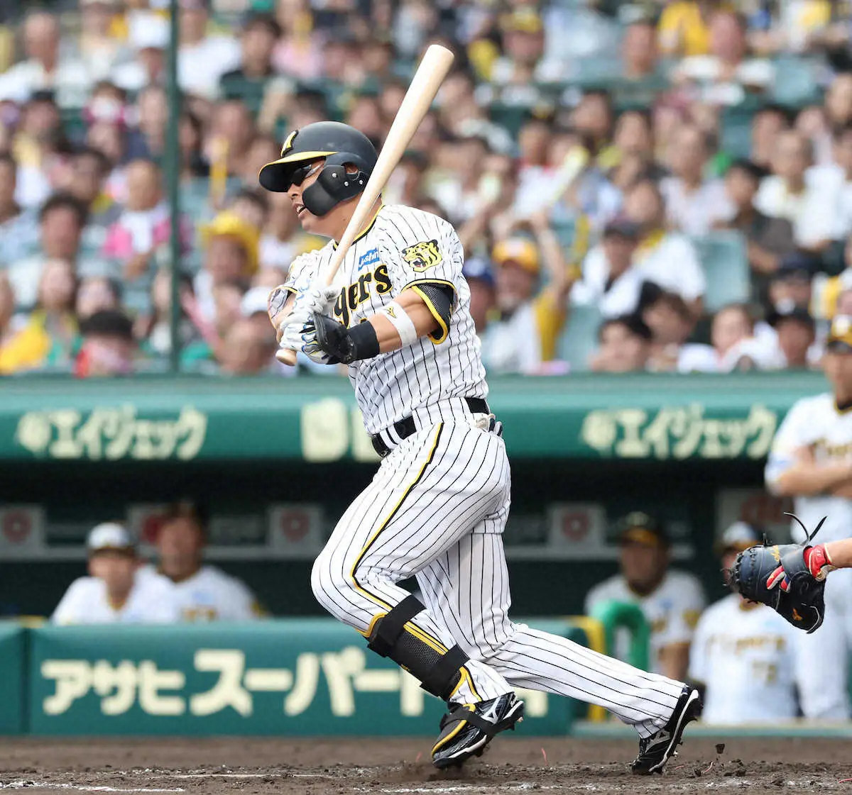 【画像・写真】阪神　9・14「アレ記念日」に3点差追いついた！代打・原口が同点打で甲子園熱狂