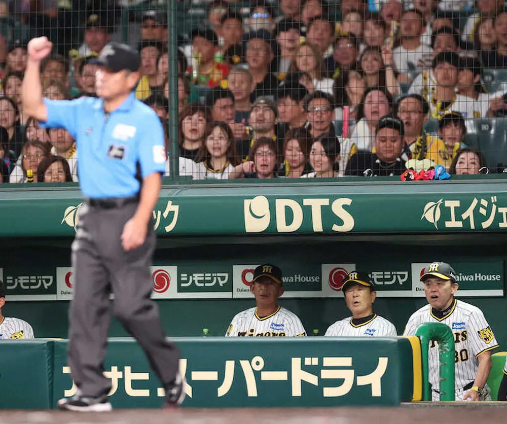 【画像・写真】【阪神・岡田監督語録　ペン取材】7回大山の本塁アウト判定に「あれしかしアウトか？」