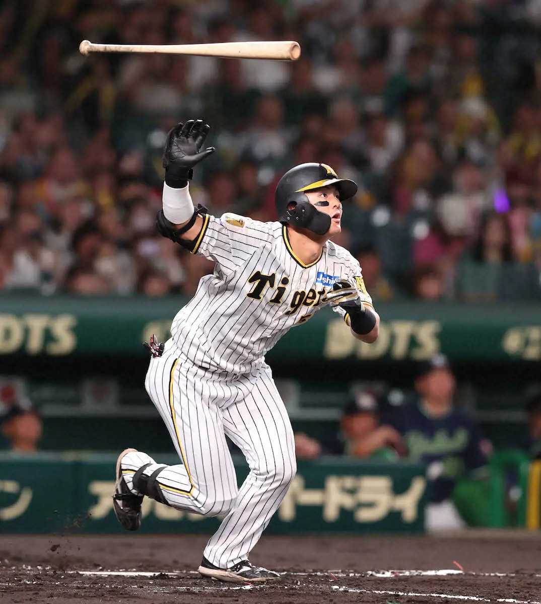 【画像・写真】阪神・前川　輝に続き甲子園1号の吉兆V弾　甲子園左打者連弾は05年林威助&金本知憲以来19年ぶり