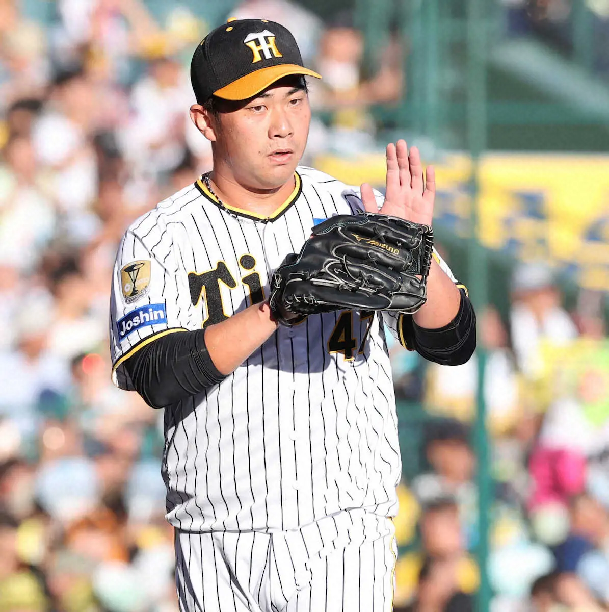 【画像・写真】阪神・桐敷　レギュラーシーズン70試合登板超え意欲　球団では10年久保田以来