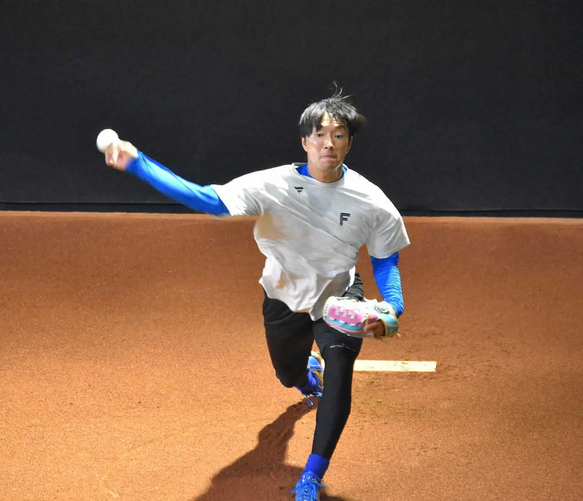 【画像・写真】日本ハム・玉井　来季サイドスロー転向も視野　腰のヘルニア発症で50試合登板が3年連続でストップ