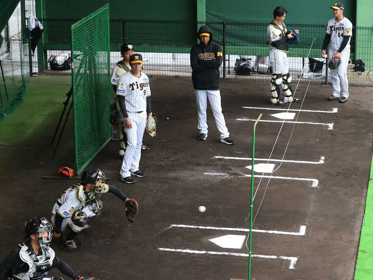 【画像・写真】阪神・藤川監督流“火の玉養成アイテム”導入!　ベース上に「ゴム紐」張り高低差を意識付け