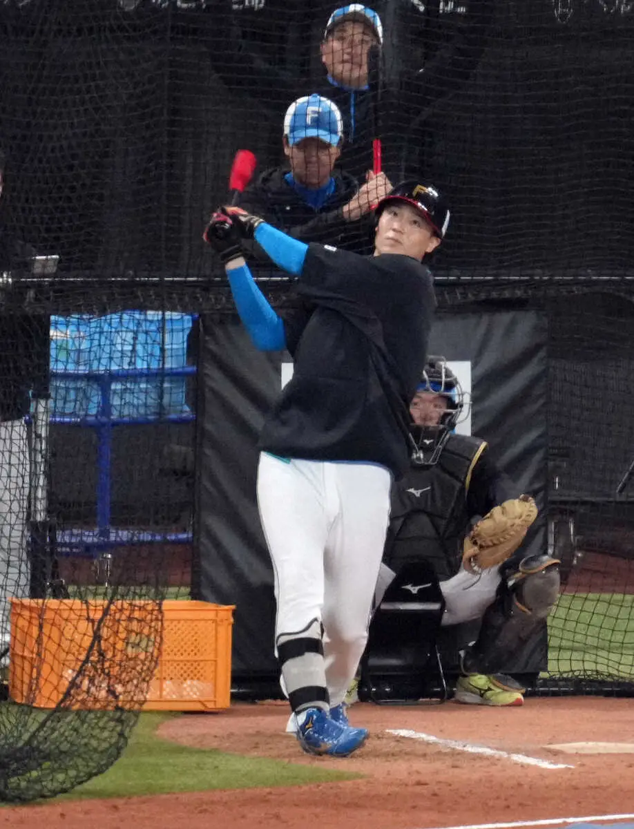 【画像・写真】日本ハム・山崎が快音連発　打撃練習で47スイング中1本の柵越え含む安打性13本
