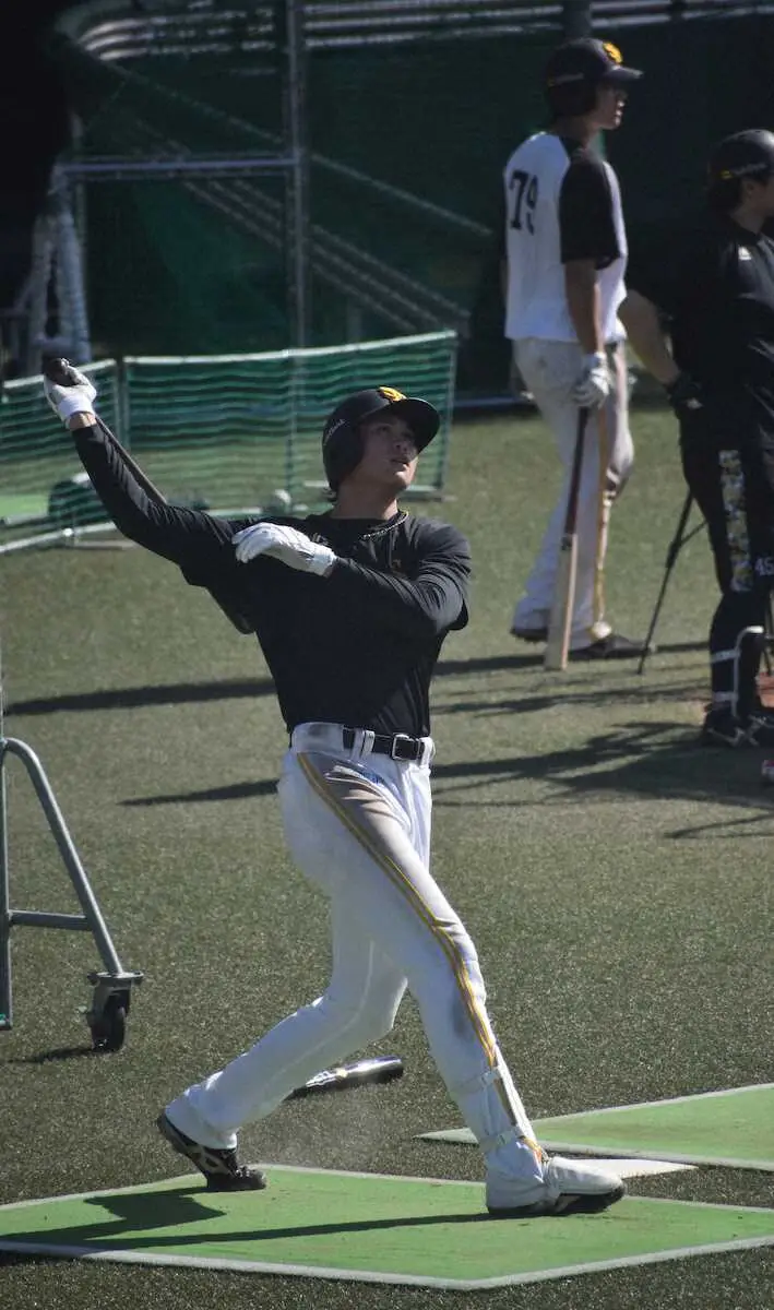 【画像・写真】ソフトバンク笹川　秋季C合流　日本シリーズの経験生かして“実りの秋”へ