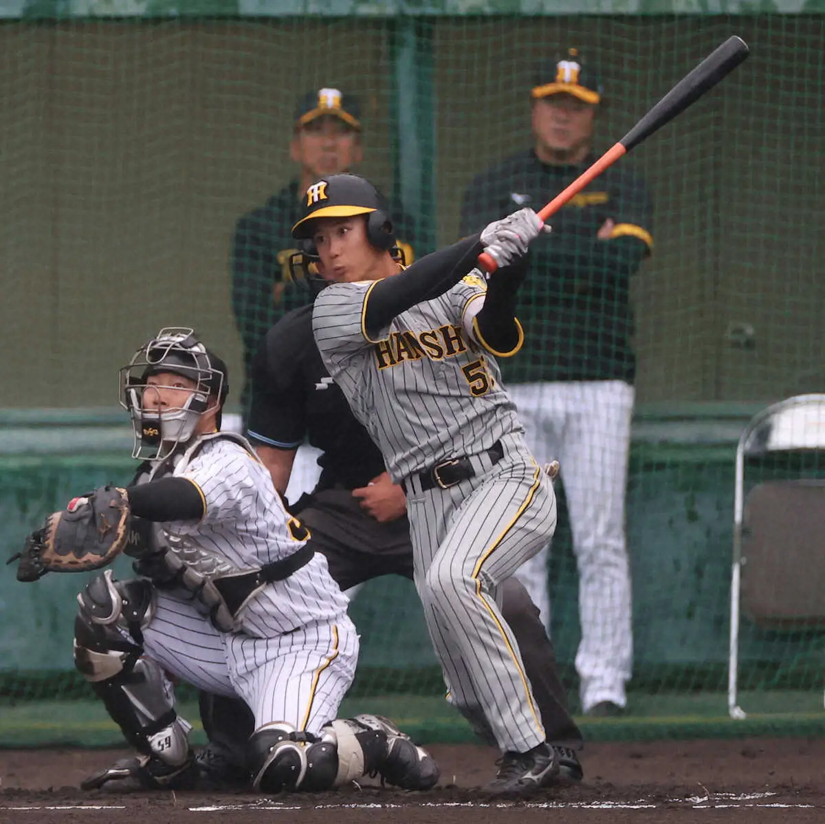 【画像・写真】阪神・山田　ヤクルト・山田哲人の道歩む「打撃、走塁技術が凄く高い」　同じく2年目開花から飛躍へ