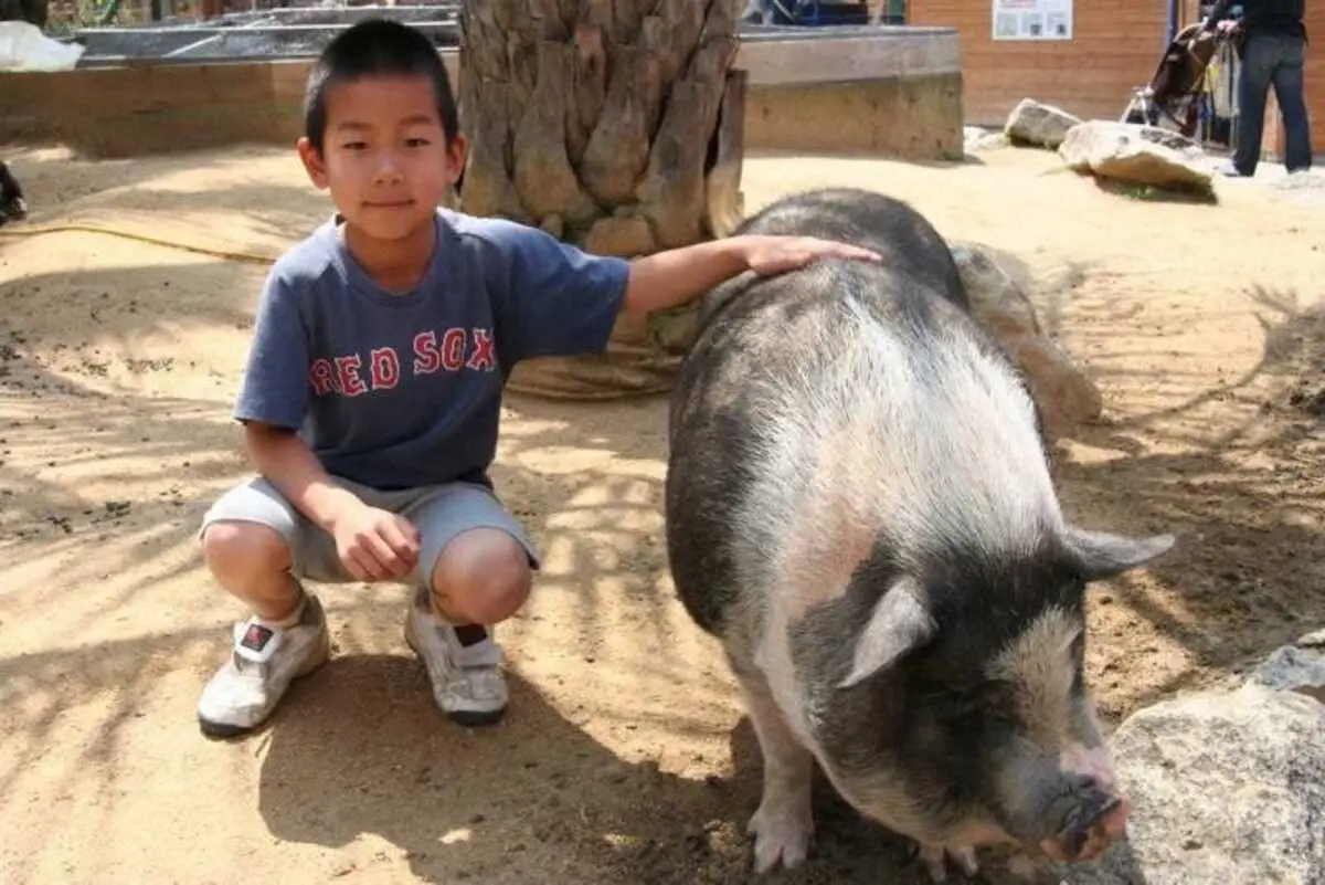 【画像・写真】【阪神　火の玉ルーキーズ】ドラ1・伊原陵人（2）　“野球ごっこ”で養った　生命線の制球力