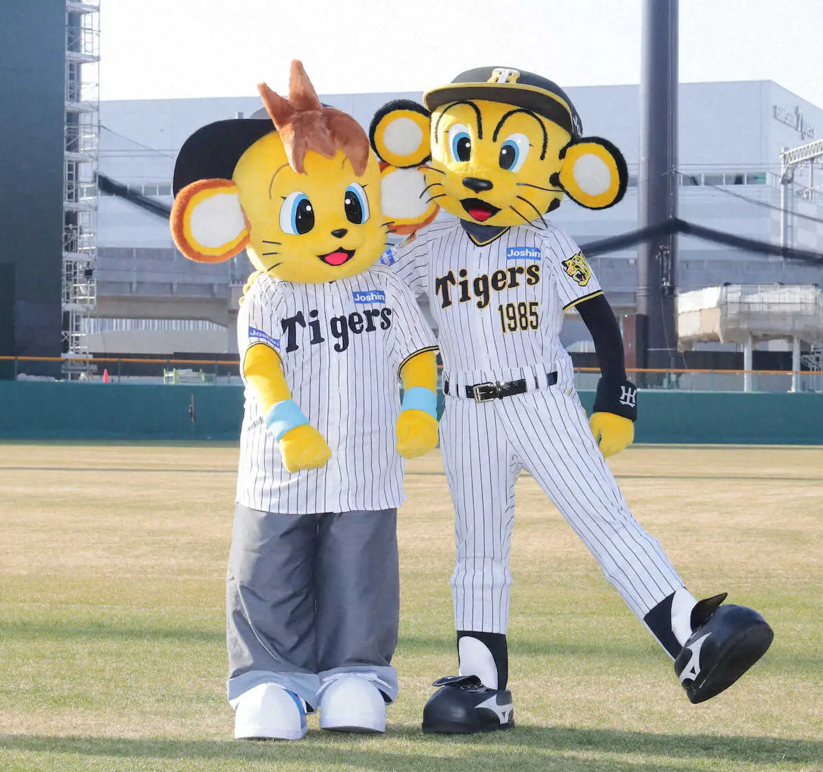 【画像・写真】阪神14年ぶり新マスコット「コラッキー」お披露目　兄トラッキーが新ファーム施設のため海外から呼び戻す