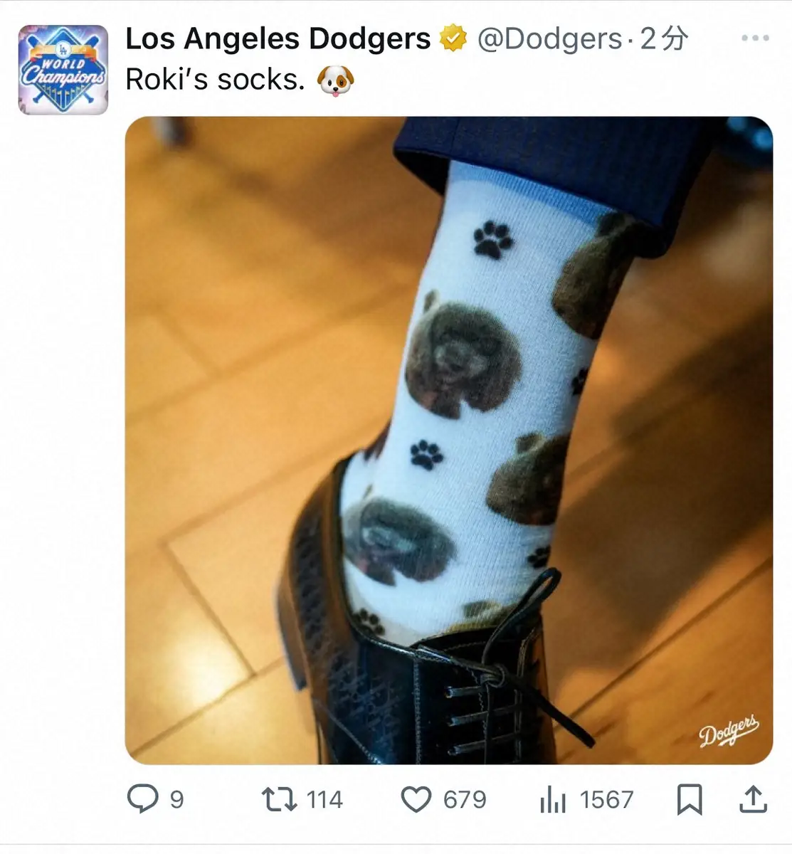 【画像・写真】佐々木朗希　かわいい！愛犬ラムちゃんソックスで入団会見「黒のトイプーで誕生日が一緒」