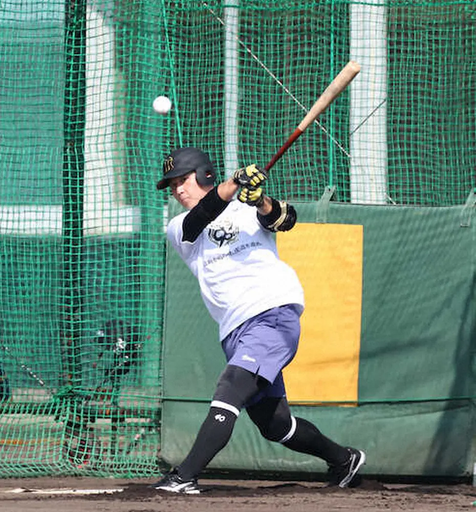 【画像・写真】球児チルドレン躍動　阪神・井坪　ベッツ打法で宜野座1号　ほぼ同体格の世界強打者“教材”