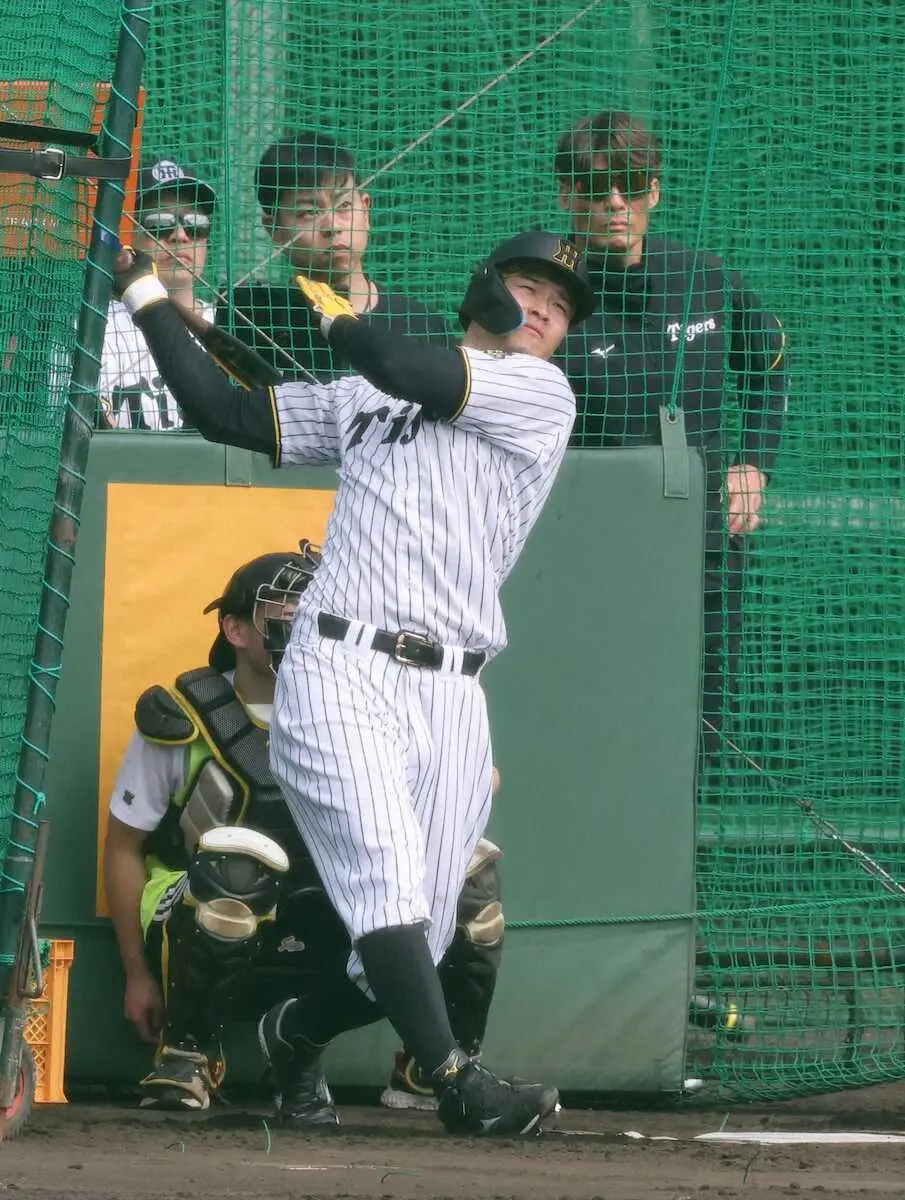 【画像・写真】阪神・佐藤輝　ランチ特打でサク越え16本！