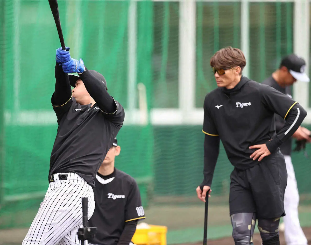【画像・写真】阪神　糸井SA持参の「超人ボール」で若虎がスタンドティー打撃　井上は確実性アップに手応え