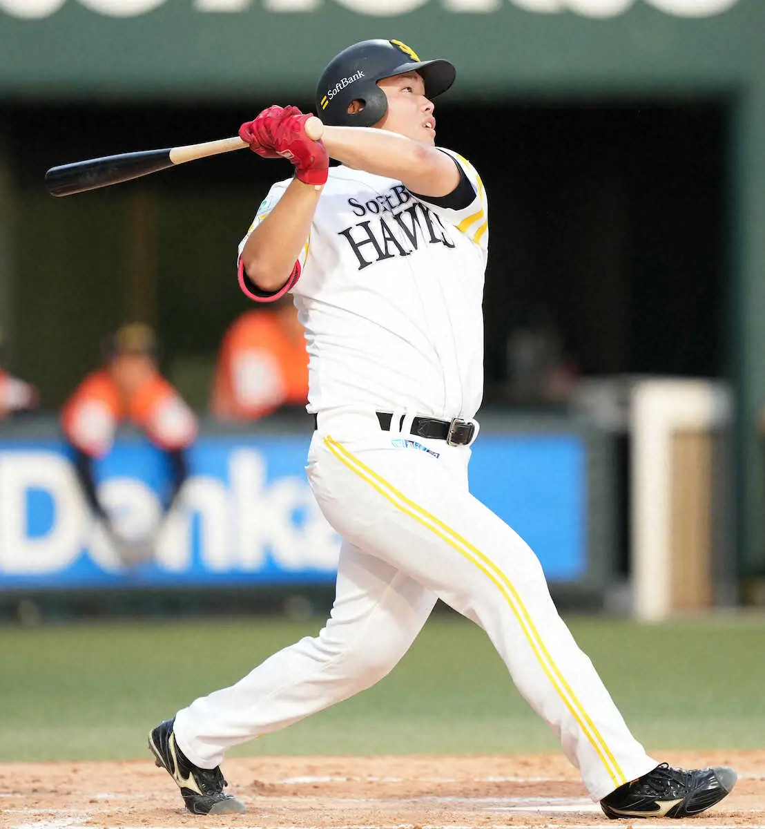 【画像・写真】【筑後鷹】育成2年目・佐倉侠史朗　ソフトバンク近藤＆ヤクルト村上を参考にスイング改造中