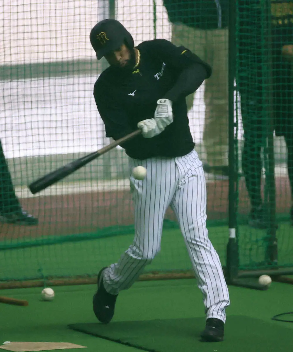 【画像・写真】大化けあるぞ！阪神育成コンスエグラが初フリーで15本サク越え最長130メートル弾も