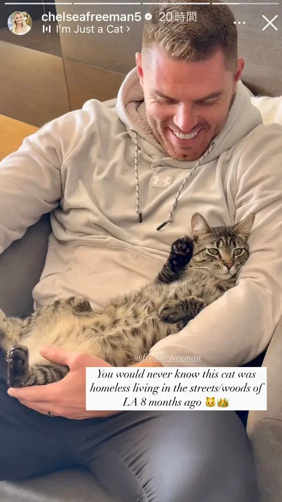 【画像・写真】フリーマンが愛猫チャンプに“メロメロ”元モデル妻がSNSで公開　WS制覇から3日後に保護猫迎え入れる