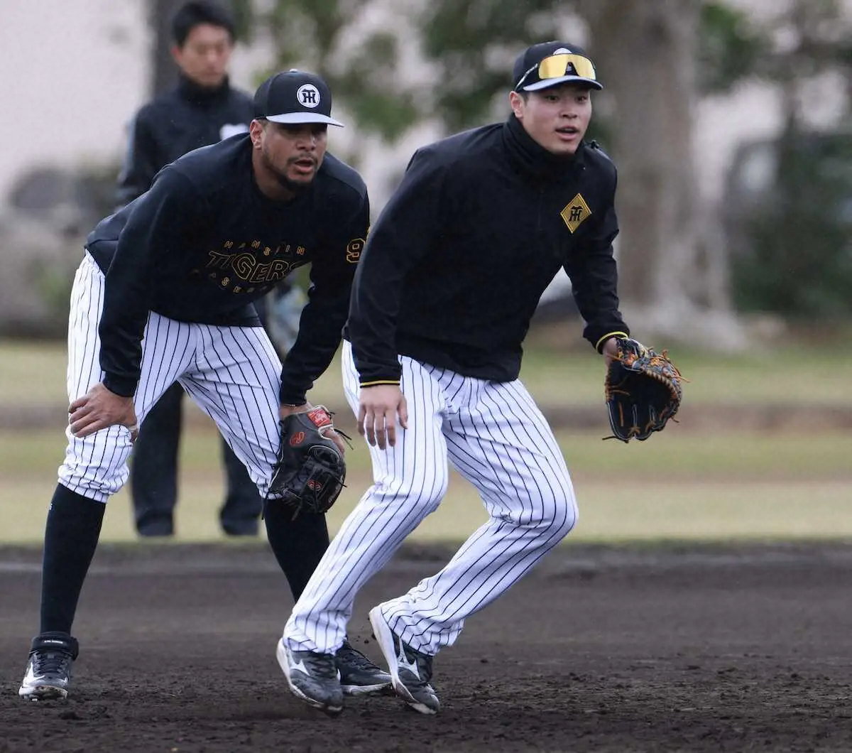 【画像・写真】阪神・佐藤輝と新助っ人・ヘルナンデスが三塁で特守　藤川監督と藤本総合コーチも熱視線